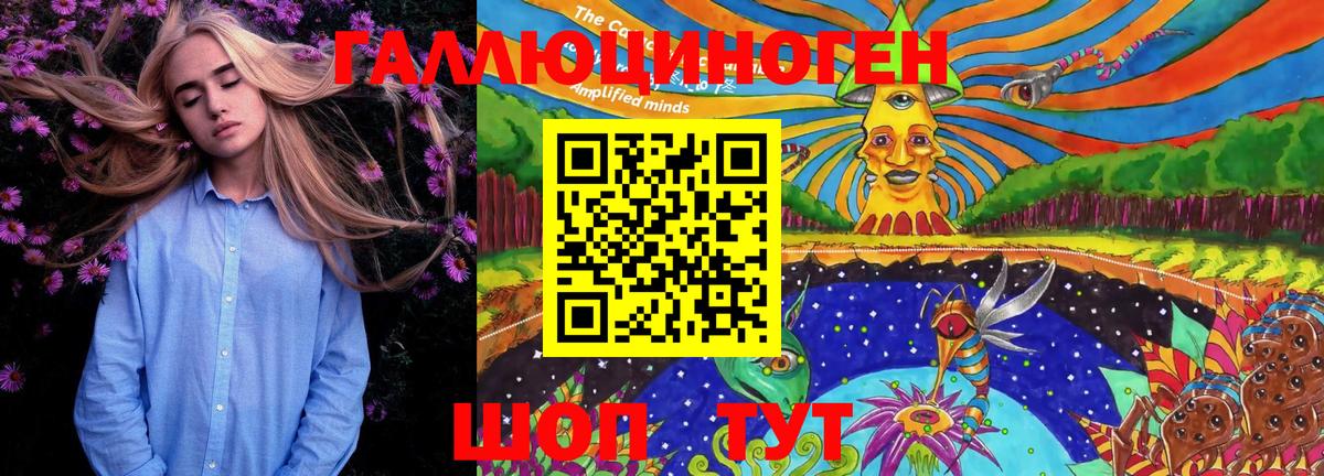 Алексеевка  Галлюциногенные грибы GOLDEN TEACHER  Псилоцибиновые грибы мицелий  Вход с VPN 